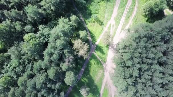 Blick von oben auf den Weg durch die Bäume. Clip. Blick von oben auf den schönen Park mit hohen Bäumen im Sommer — Stockvideo