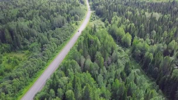 Vista aérea de uma estrada no outono cercada por floresta de pinheiros. Clipe. Vista superior da estrada na floresta — Vídeo de Stock