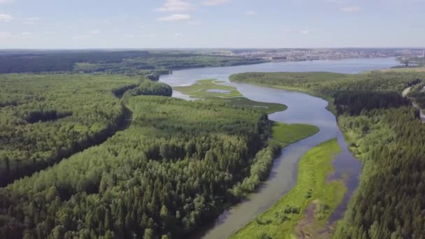 Flygfoto över soliga sjö omgiven av pinjeskog nära stan. Klipp. Under solig sommardag. Ovanifrån av sjön skog nära staden — Stockvideo