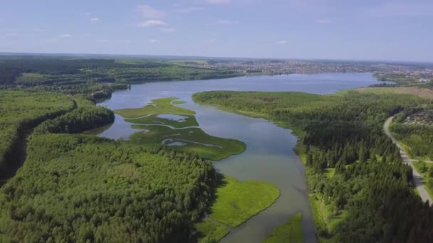 Luchtfoto over zonnige meer omringd door dennenbos in de buurt van de stad. Clip. Tijdens zonnige zomerdag. Bovenaanzicht van het bos meer in de buurt van de stad — Stockvideo