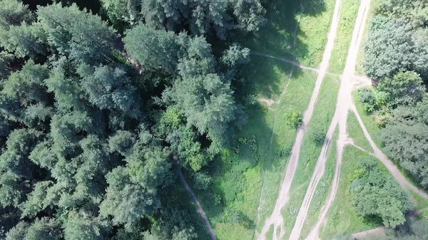 Widok z góry ścieżki przez drzewa. Klip. Widok z góry piękny park z wysokich drzew, w lecie — Zdjęcie stockowe