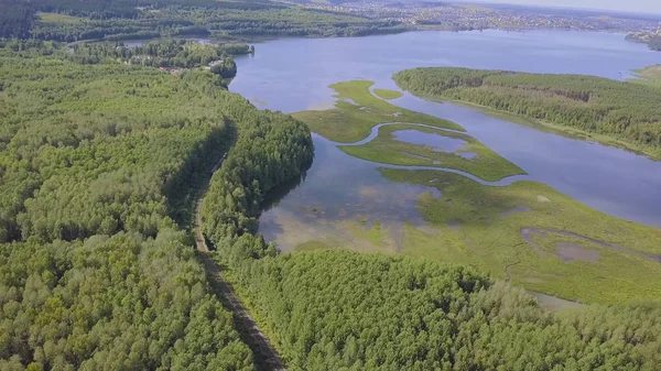 Aerial view over sunny lake surrounded by pine tree forest near town. Clip. During sunny summer day. Top view of the forest lake near the town