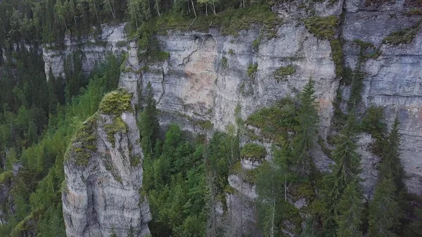 Belo mirante de montanha no alto das montanhas. Clipe. Vale enorme com floresta de eucalipto espessa. Vista superior de um grande penhasco na floresta — Fotografia de Stock