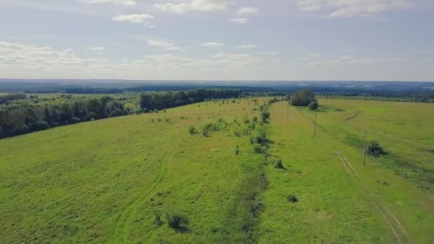 Pinos verdes prados y cielo azul con nubes. Clip. Vista superior del campo verde con bosque — Vídeos de Stock
