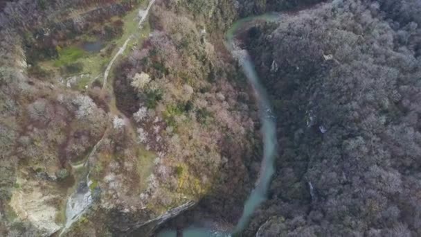 Ovanifrån på floden i höst. Klipp. Floden omger gula fältet och gröna skogen. Bergen sluttningarna täckt med frodig grön vegetation i förgrunden — Stockvideo