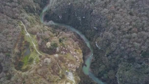 Вид с воздуха на лесную реку летом. Клип. Вид с воздуха на лесные массивы с рекой летом во время полета — стоковое видео