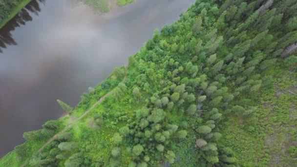 Aerial view of forest river during summer. Clip. Aerial view of woodlands with river in the summer during a flight — Stock Video