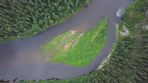 Widok z lotu ptaka rzeki lasu w okresie letnim. Klip. Widok z lotu ptaka lasów z rzeki latem podczas lotu — Wideo stockowe