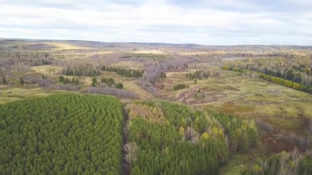 Vista aérea superior, Paisagem de outono de floresta selvagem. Clipe. Vista de alto ângulo de uma estrada através da floresta de outono — Vídeo de Stock