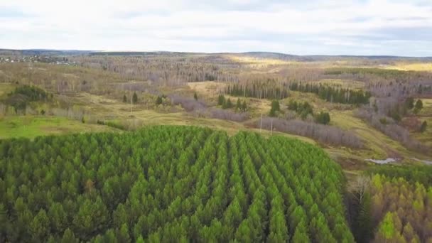 Vista aérea, Paisaje otoñal de bosque salvaje. Clip. Vista de ángulo alto de un camino a través del bosque de otoño — Vídeo de stock