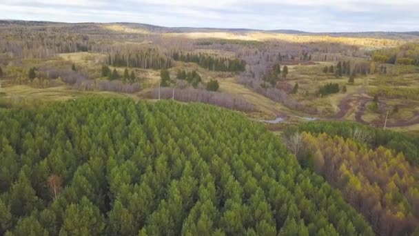 Aerial top view, Autumn landscape of wild forest. Clip. High angle view of a road trough the autumn forest — Stock Video