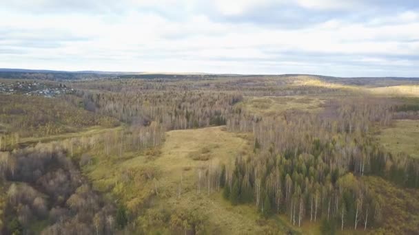 Вид с воздуха на лес под облаками осенним вечером. Клип. Осенью вид сверху на лесной массив — стоковое видео