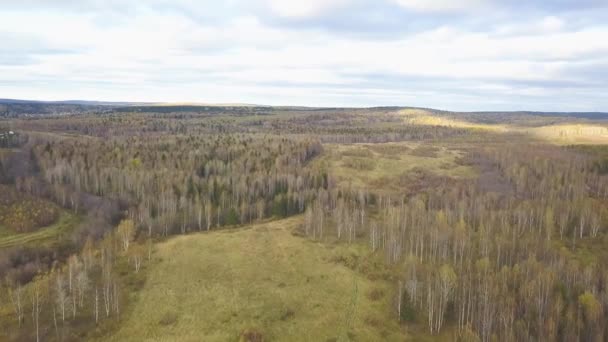Aerial view of the forest under clouds of during the autumn evening. Clip. Top view of the forest area in autumn — Stock Video