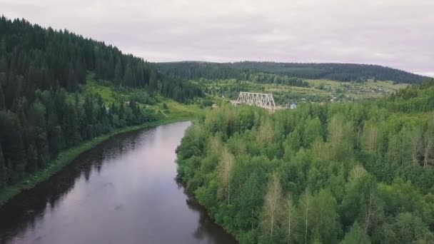 Vue de dessus de la rivière dans les montagnes entourées d'une forêt verdoyante. Clip. Vue de dessus de la rivière dans la forêt — Video