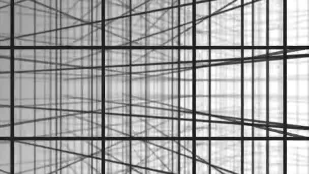 Textura 3D. Fondo blanco y negro en una jaula para pancartas y diseños. Fondo volumétrico con efecto bokeh. Fondo de la intersección de líneas grises. Fondo blanco con perspectiva. Abstracto — Vídeo de stock