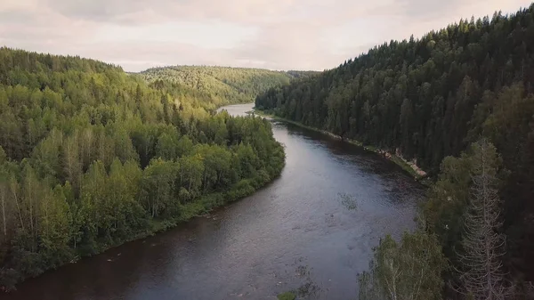 Ovanifrån av floden i bergen omgivet av en grönskande skog. Klipp. Ovanifrån av floden i skogen — Stockfoto