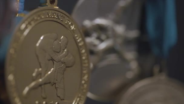 Close-up da medalha de ouro. Medalha de luta livre — Vídeo de Stock