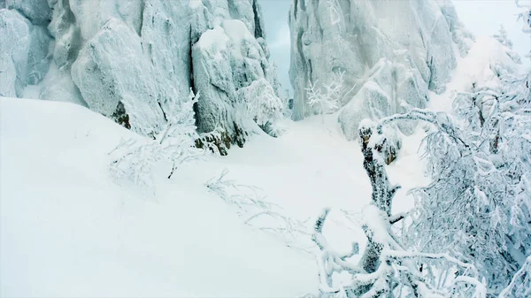 Roccia nevosa nella foresta. Un video. rocce innevate in montagna con cielo limpido. Montagna innevata con strati rocciosi pieghevoli — Foto Stock