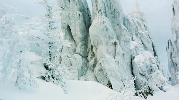 Zasněžené Rock v lese. Video. zasněžených skal v horách s oblohou. Zasněžené hory s skládání vrstev horniny — Stock fotografie