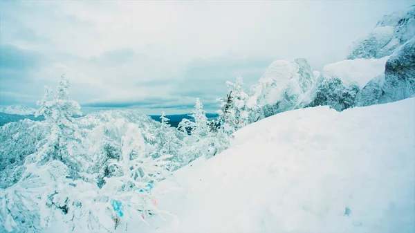 Blick auf den schneebedeckten Gipfel über dem Tal. Äste im Vordergrund einer bewölkten Alpensilhouette. Video. Antenne, schöne Bäume unter dem Schnee im Wald. Winterlandschaft — Stockfoto