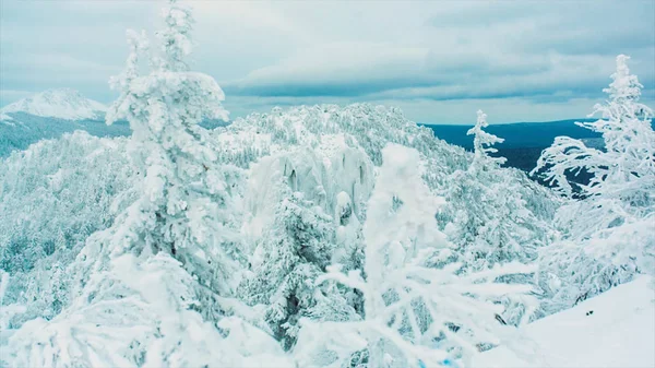 Vista verso la vetta innevata sopra la valle. Rami di alberi in primo piano in uno skyline alpino nuvoloso. Un video. Aerea, bellissimi alberi sotto la neve nel bosco. Paesaggio invernale — Foto Stock