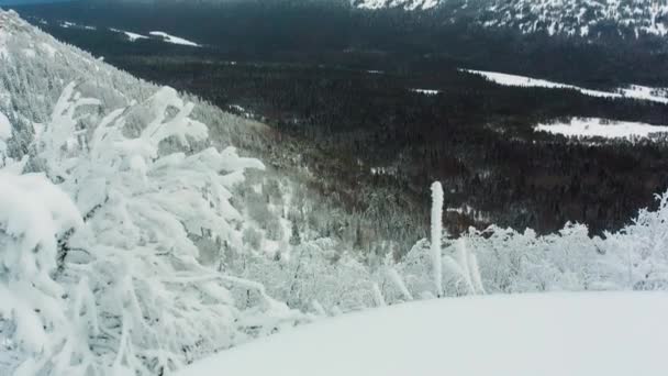 Kijk naar de besneeuwde bergtop boven de vallei. De boomtakken op de voorgrond van een bewolkt alpine skyline. Video. Luchtfoto, mooie bomen onder de sneeuw in het hout. Winterlandschap — Stockvideo