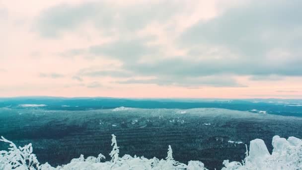 Kijk naar de besneeuwde bergtop boven de vallei. De boomtakken op de voorgrond van een bewolkt alpine skyline. Video. Luchtfoto, mooie bomen onder de sneeuw in het hout. Winterlandschap — Stockvideo