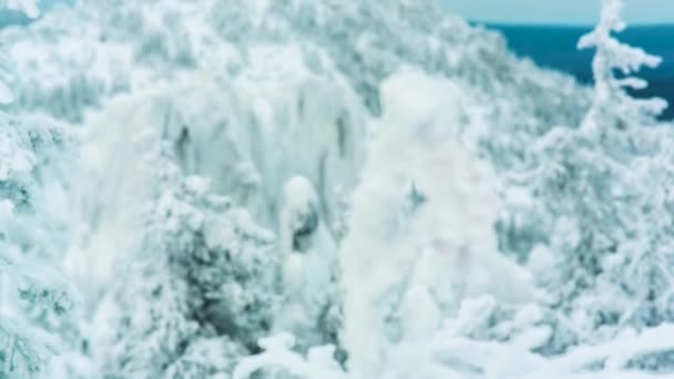Schneebedeckte Berggipfel und Bäume im Skigebiet. Video. Der obere Teil des Astes ist mit winterweißem Schnee bedeckt, mit dichtem Kiefernwald und vielen Gipfeln. Berggipfel im Schnee — Stockvideo