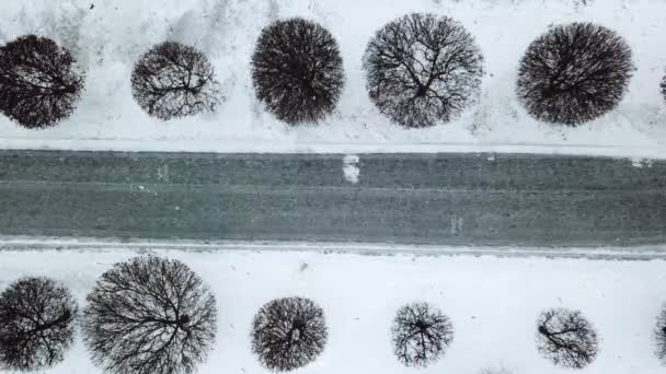 눈과 눈 폭풍우 겨울 날씨의 높은 수준의 도시에서 경고 날을 예측. 겨울에서 공원 도시에 흔적의 상위 뷰 — 비디오