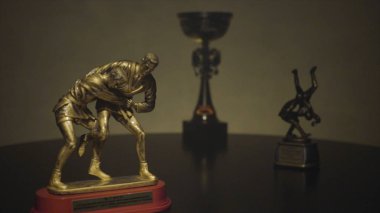 Şampiyonluk Kupası ya da Gümüş Kupası kavramı kazanma ve başarı için birincilik. Kupası judo Şampiyonası'nda bir zafer için. Başarı spor için Kupası