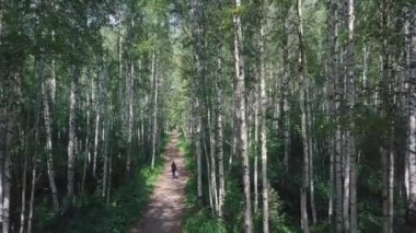 Ormanın içinde yol üzerinde yürüyen adam en iyi görünümü. Küçük. Ormanda güzel güneşli yaz gün