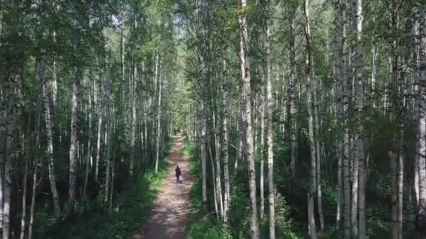 Widok z góry człowieka spaceru w lesie na ścieżce. Klip. Piękny słoneczny letni dzień w lesie — Wideo stockowe