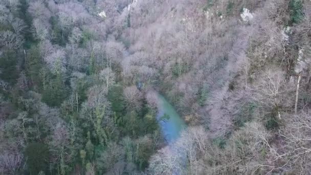 Kalte Herbstlandschaft mit riesigem Waldgebiet und schnellem Gebirgsfluss. Clip. Blick von oben auf den Fluss in einer bergigen Gegend im Herbst — Stockvideo