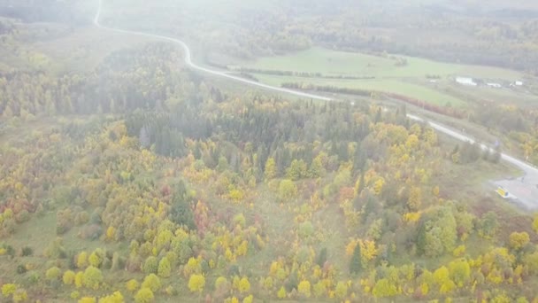 Вид зверху на повітря, осінній пейзаж дикого лісу. Кліп. Високий кут огляду дорожнього коридору осіннього лісу — стокове відео
