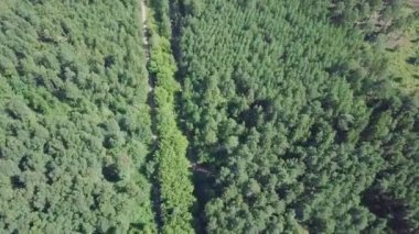 Küçük kasaba forest yakınındaki hava görünümünü. Küçük. Bir ormanlık alanda şehrin havadan görünümü. Kasabaya giden orman yolu