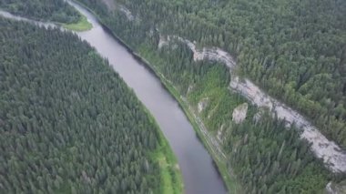 Orman nehir yaz aylarında hava görünümünü. Küçük. Woodlands bir uçuş sırasında yaz aylarında nehir ile havadan görünümü