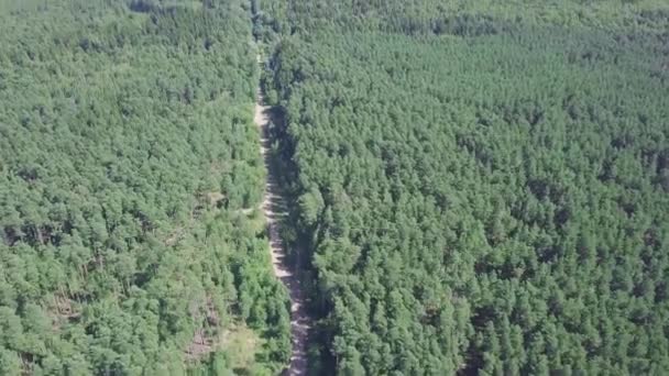 Vista aérea da pequena cidade perto da floresta. Clipe. Vista aérea da cidade em uma área arborizada. A estrada da floresta que conduz à cidade — Vídeo de Stock