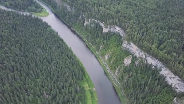 Вид з повітря на лісову річку влітку. Кліп. Вид з повітря на ліси з річкою влітку під час польоту — стокове відео