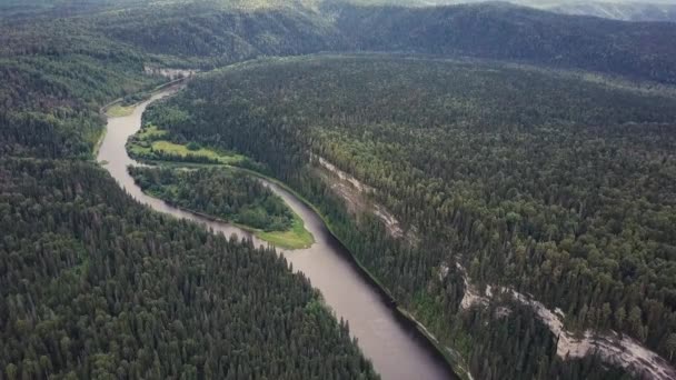 Vista aérea del río bosque durante el verano. Clip. Vista aérea de bosques con río en verano durante un vuelo — Vídeos de Stock