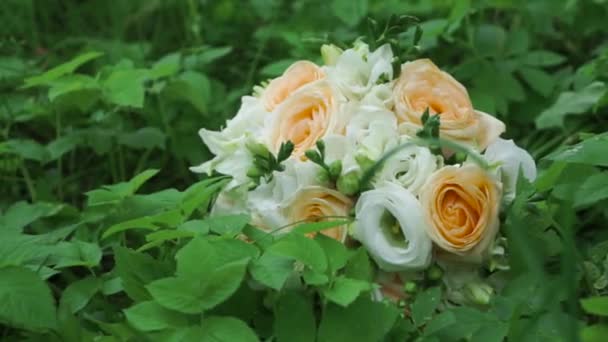 Boeket van mooie rozen op de achtergrond van het groene gras. Clip. Een boeket rozen in het gras — Stockvideo