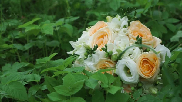 Bouquet of beautiful roses on the green grass background. Clip. A bouquet of roses in the grass