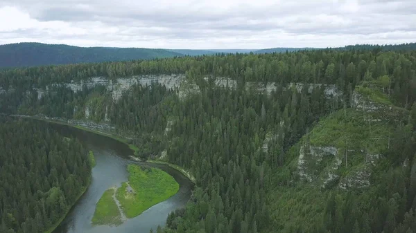 Vue aérienne de la rivière forestière pendant l'été. Clip. Vue aérienne des bois avec rivière en été pendant un vol — Photo