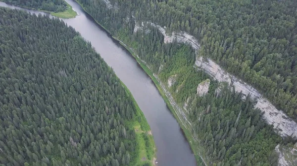 Vue aérienne de la rivière forestière pendant l'été. Clip. Vue aérienne des bois avec rivière en été pendant un vol — Photo