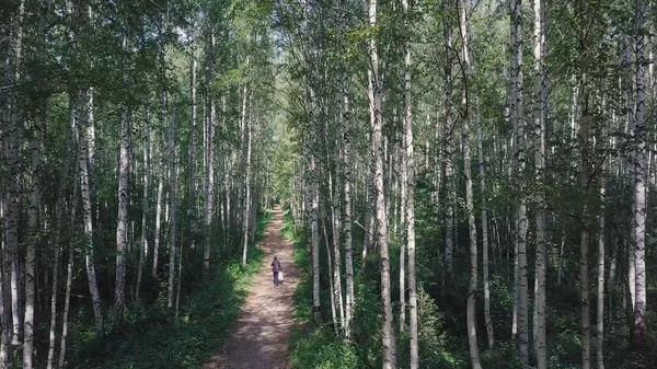 Top view of the man walking in the woods on the path. Clip. Beautiful Sunny summer day in the forest — Stock Photo, Image