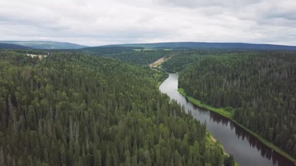 Vue aérienne de la rivière forestière pendant l'été. Clip. Vue aérienne des bois avec rivière en été pendant un vol — Video