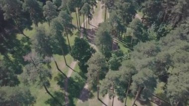 Hava uçak atış güneşli bir orman Park kayma. Küçük. Bahar Parkı görünümünü top, hafta sonu