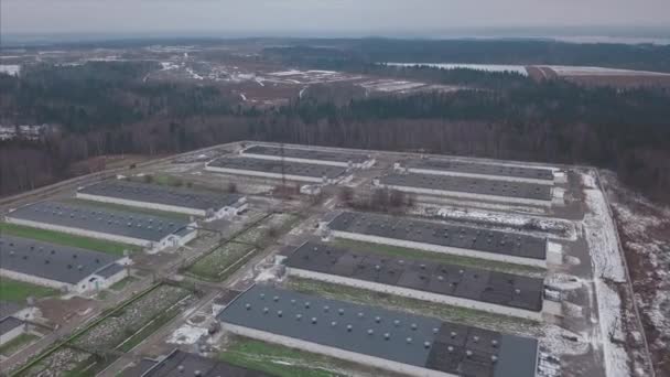 Loodsen op de boerderij, luchtfoto. Clip. Luchtfoto van industriële kippenhok in het bos — Stockvideo