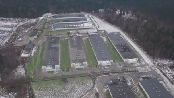 Barracões na quinta, vista aérea. Clipe. Vista aérea da casa de frango industrial na floresta — Vídeo de Stock