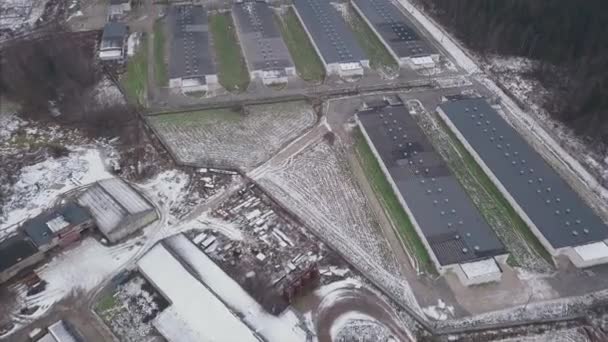 Loodsen op de boerderij, luchtfoto. Clip. Luchtfoto van industriële kippenhok in het bos — Stockvideo