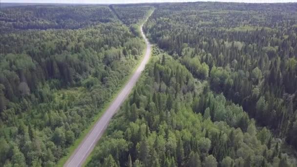 Cámara de vista aérea del bosque verde de densas copas de árboles mixtos de pinos y abedules. Clip. Vista aérea volando sobre viejo parcheado carretera forestal de dos carriles con árboles verdes de bosques densos que crecen ambos — Vídeos de Stock